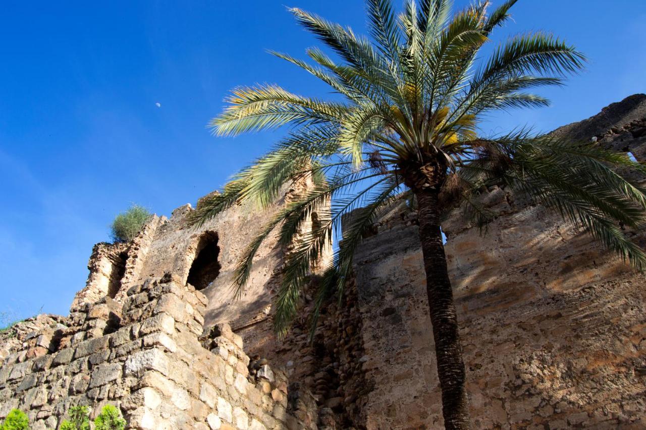 Appartamento Edificio Ramiro Marbella Esterno foto